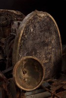 /album/fotogalerie/bg08-4b4ade03399df-jpg1/